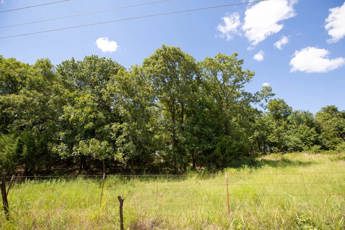 Paradise Valley Tract 20 - Image 4