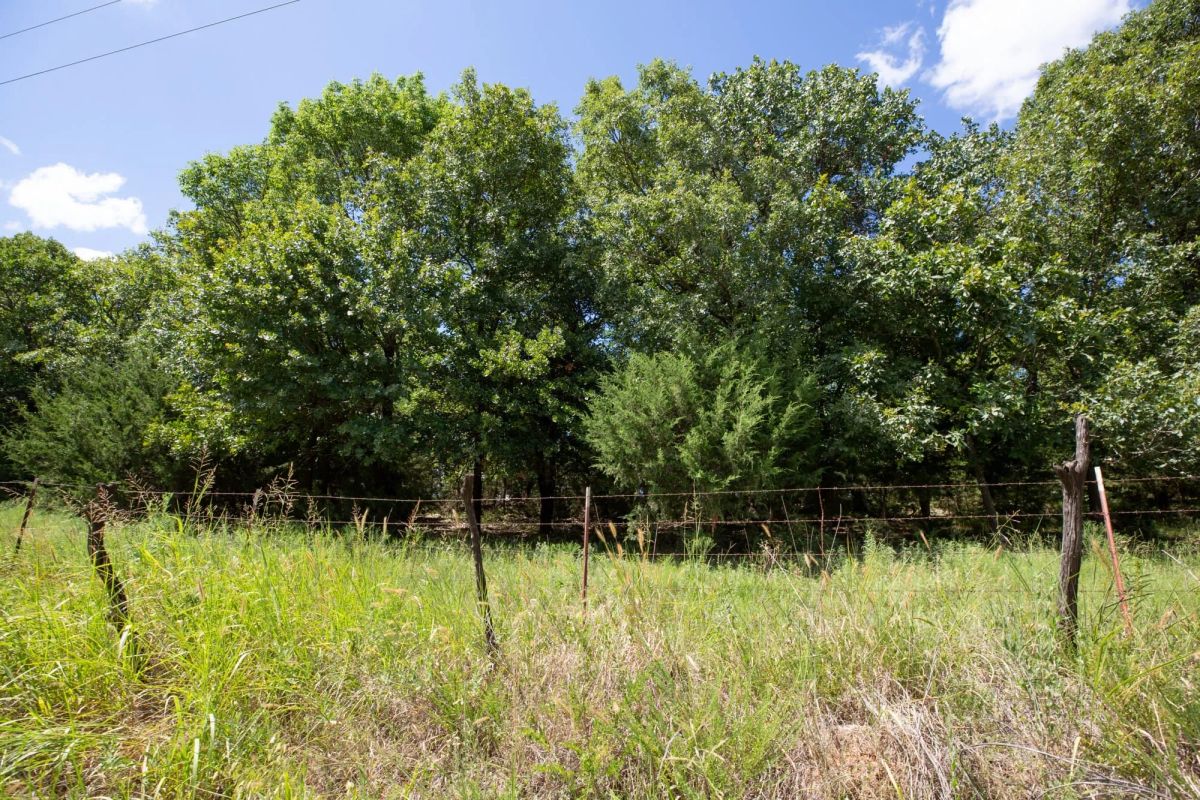 Decorative background for Paradise Valley Tract 20 image 6