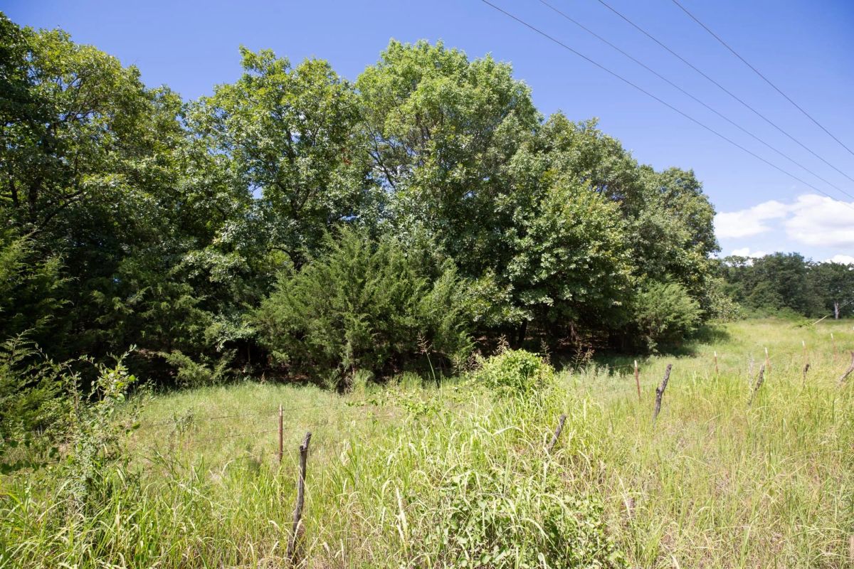Decorative background for Paradise Valley Tract 20 image 7