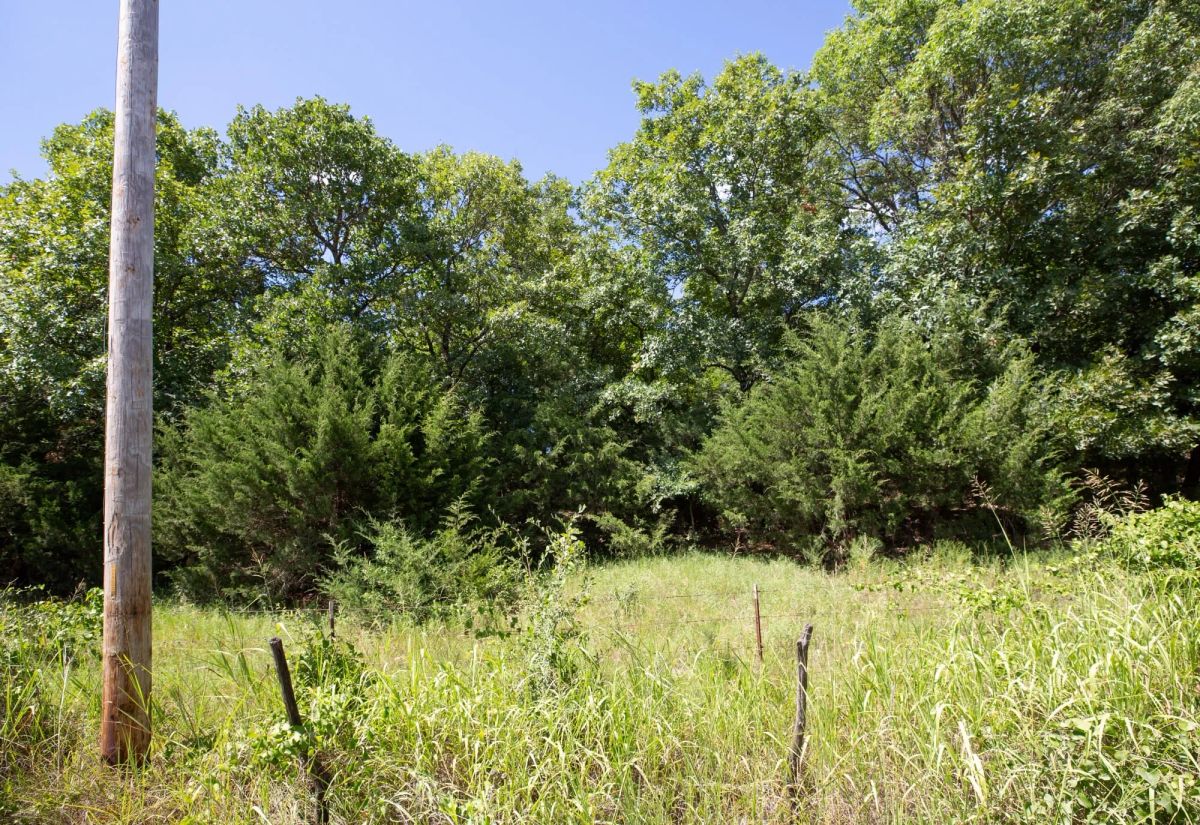 Decorative background for Paradise Valley Tract 20 image 8