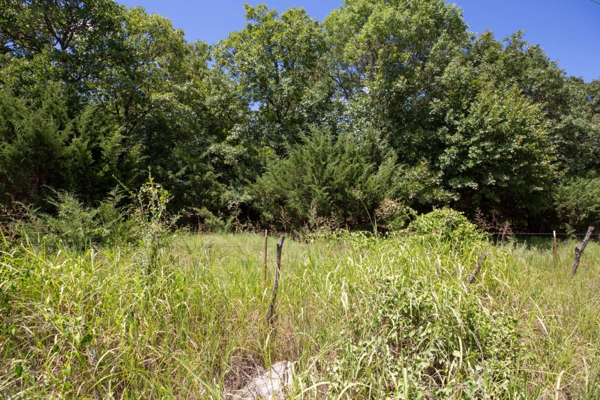 Decorative background for Paradise Valley Tract 20 image 10
