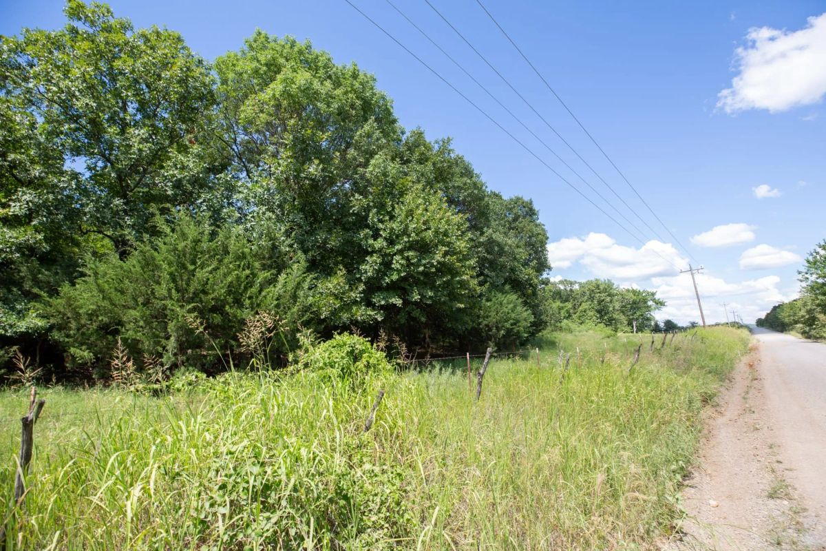 Decorative background for Paradise Valley Tract 20 image 11