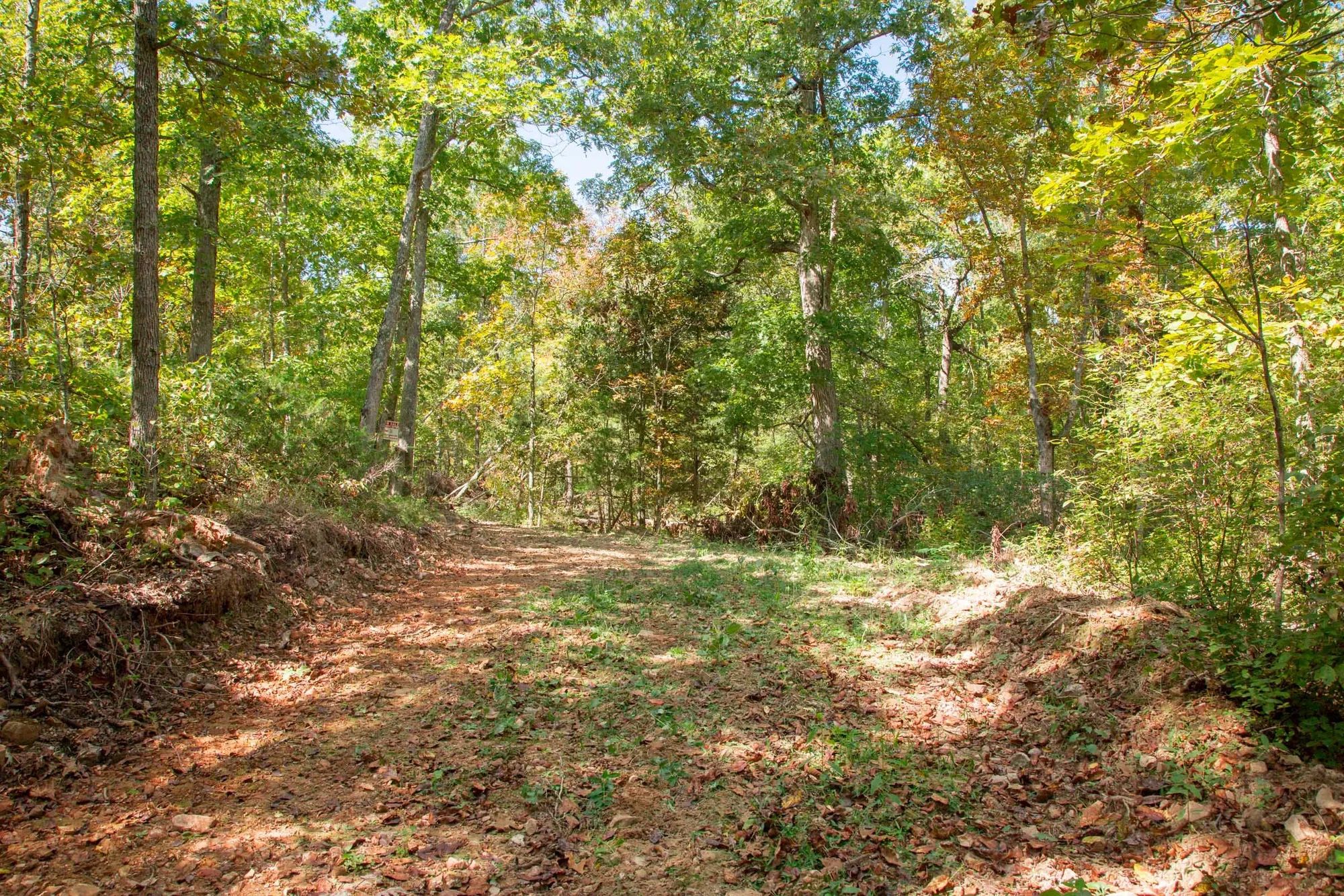 Wagon Wheel Ranch Tract 37 in Dent County, MO