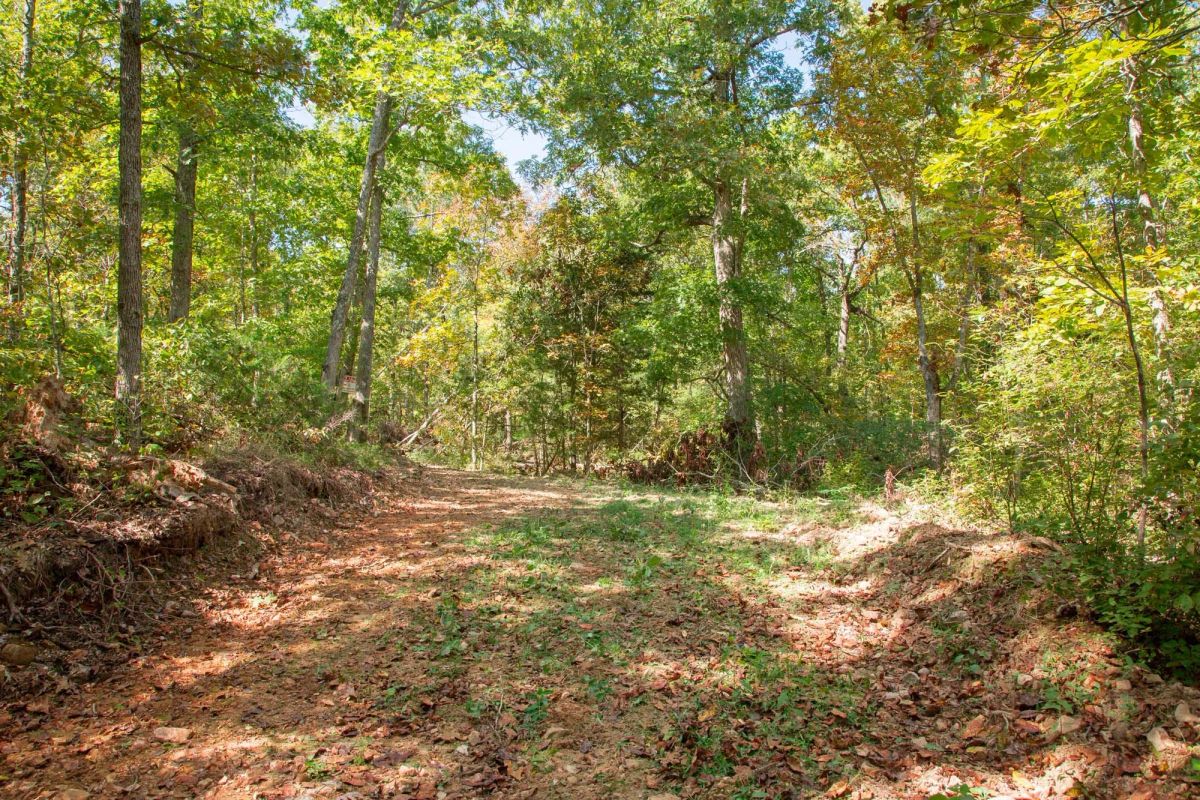 Wagon Wheel Ranch Tract 37 - Main image