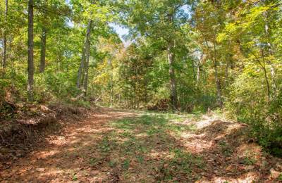 Wagon Wheel Ranch Tract 37
