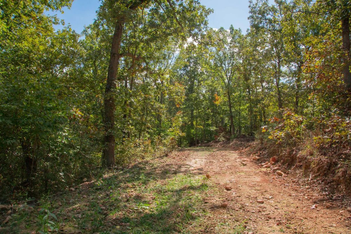 Wagon Wheel Ranch Tract 37 - Image 2