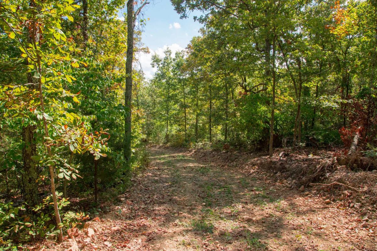 Decorative background for Wagon Wheel Ranch Tract 37 image 6