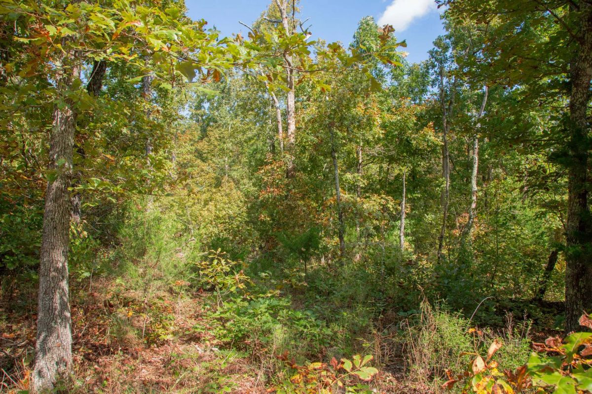 Decorative background for Wagon Wheel Ranch Tract 37 image 7
