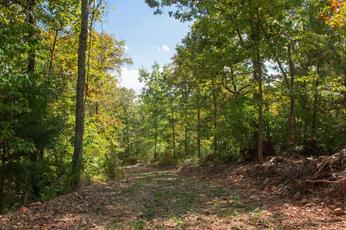 Decorative background for Wagon Wheel Ranch Tract 37 image 10