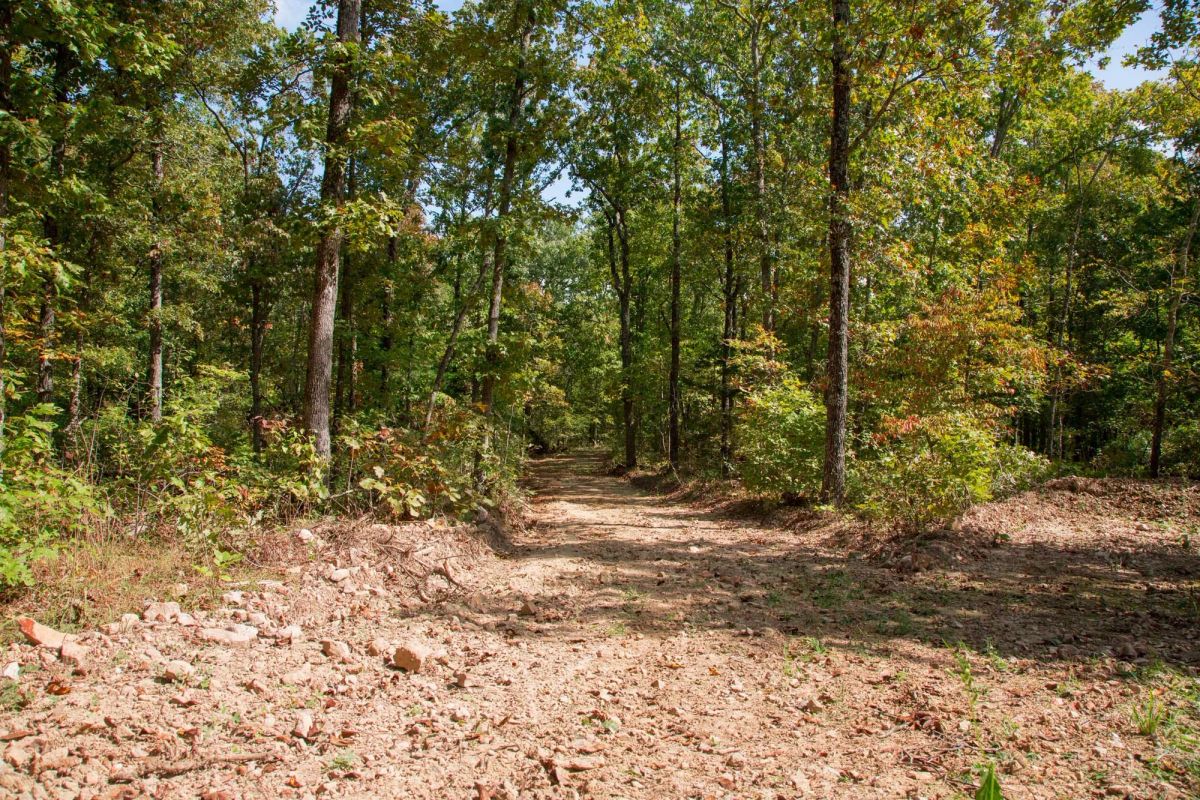 Decorative background for Wagon Wheel Ranch Tract 37 image 11