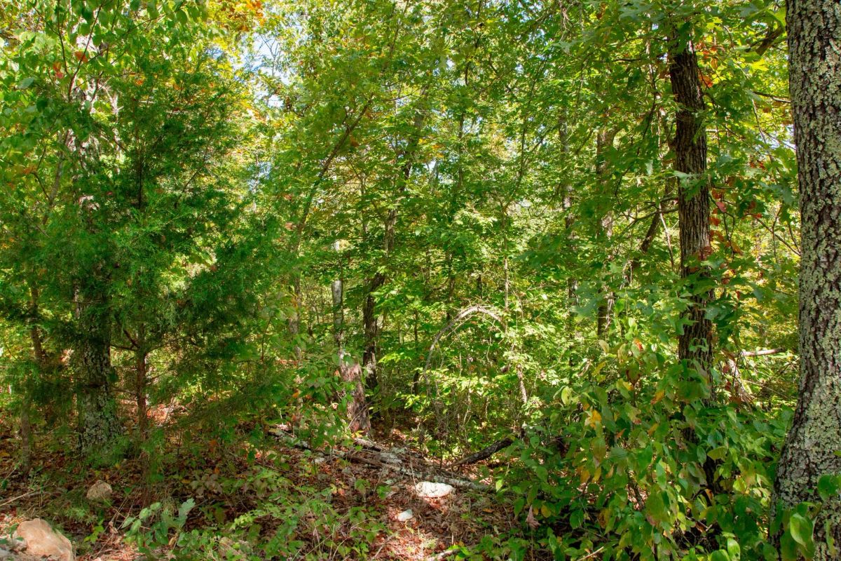 Decorative background for Wagon Wheel Ranch Tract 37 image 12