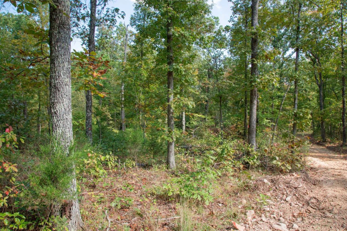 Decorative background for Wagon Wheel Ranch Tract 37 image 14