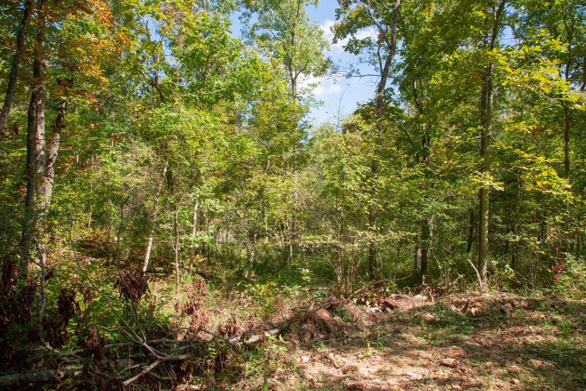 Decorative background for Wagon Wheel Ranch Tract 37 image 19