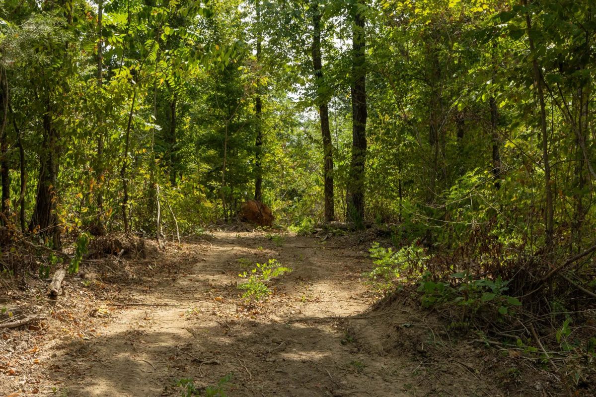 Big White Oak Tract 80 - Main image