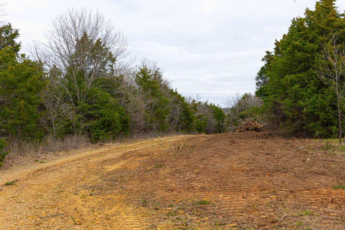 Reserves At Cattail Cove Phase I Tract 26 - Image 4