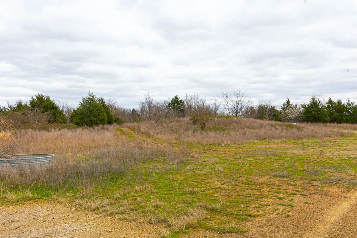 Decorative background for Reserves At Cattail Cove Phase I Tract 26 image 5