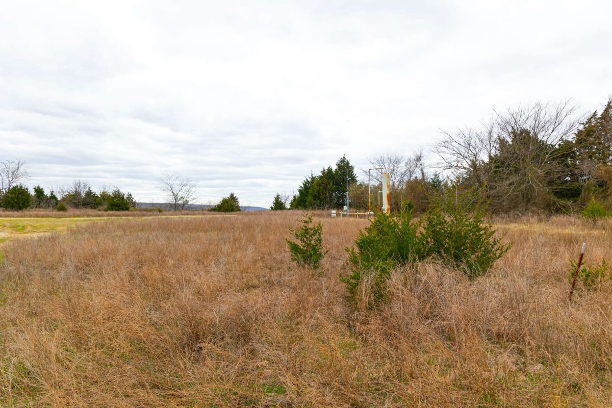 Decorative background for Reserves At Cattail Cove Phase I Tract 26 image 6
