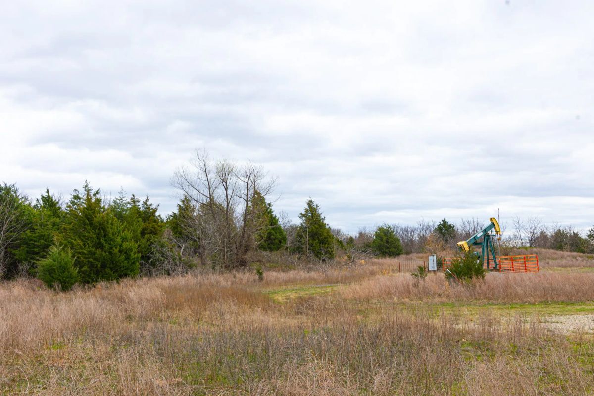 Decorative background for Reserves At Cattail Cove Phase I Tract 26 image 8