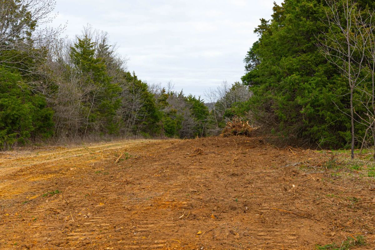 Decorative background for Reserves At Cattail Cove Phase I Tract 26 image 9