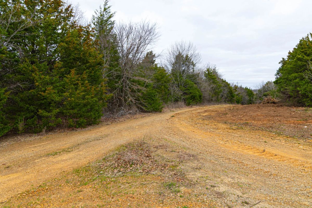 Decorative background for Reserves At Cattail Cove Phase I Tract 26 image 11