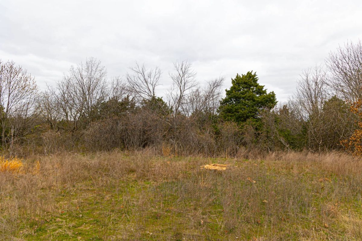 Decorative background for Reserves At Cattail Cove Phase I Tract 26 image 15