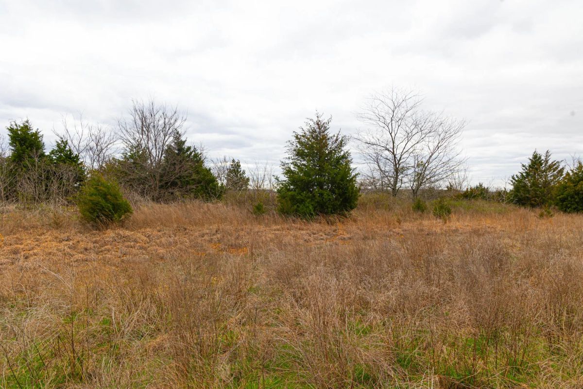 Decorative background for Reserves At Cattail Cove Phase I Tract 26 image 16