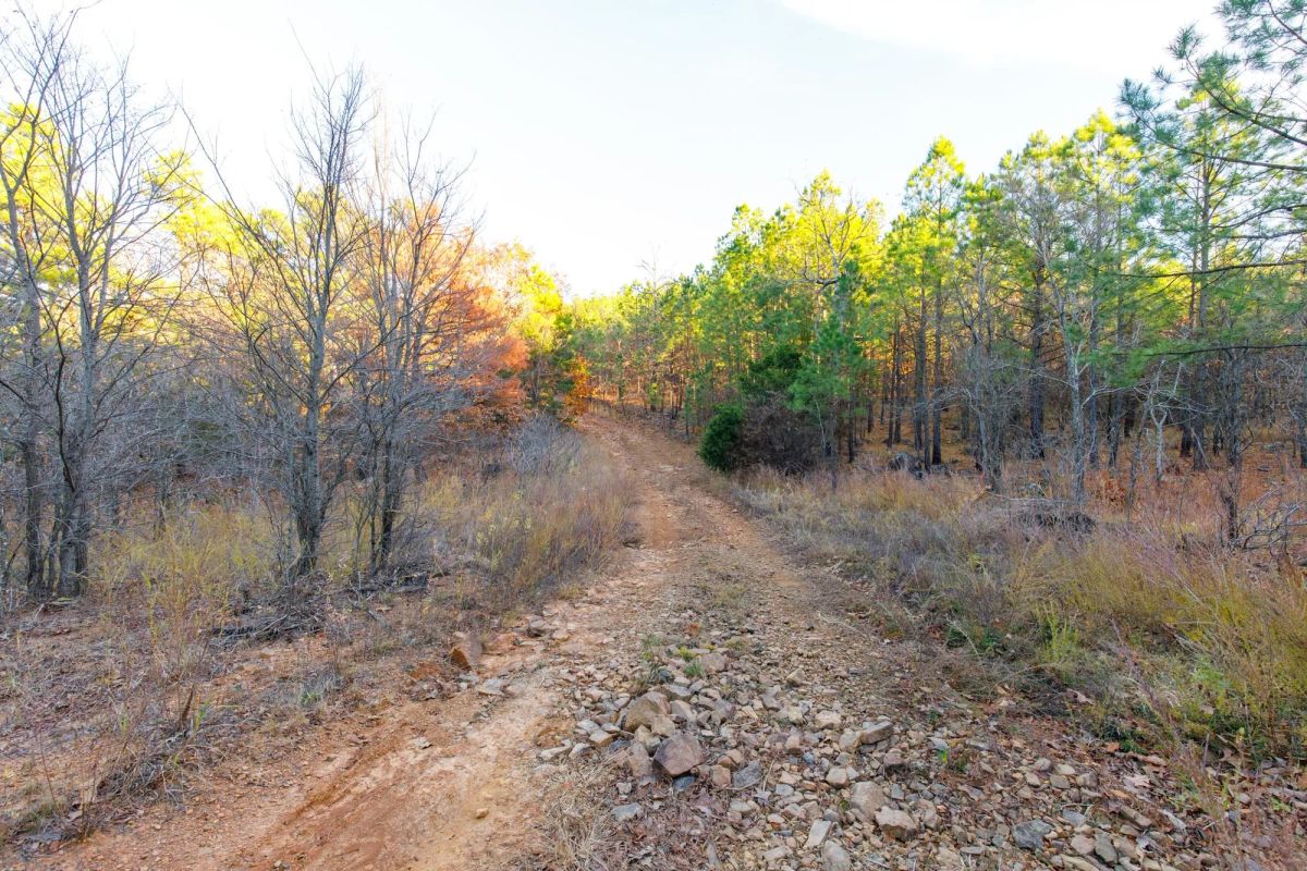 Stone Bridge Phase II Tract 119 - Main image