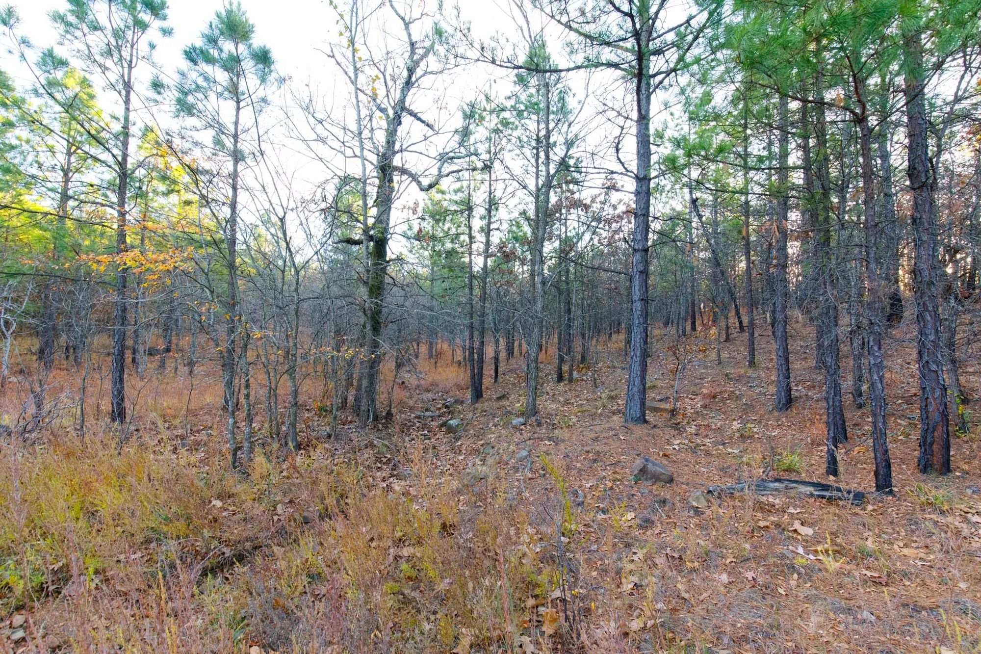 Stone Bridge Phase II Tract 119 in Latimer County, OK