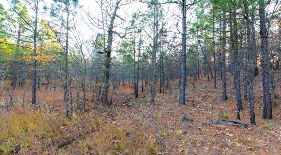 Stone Bridge Phase II Tract 119 in Latimer County, OK