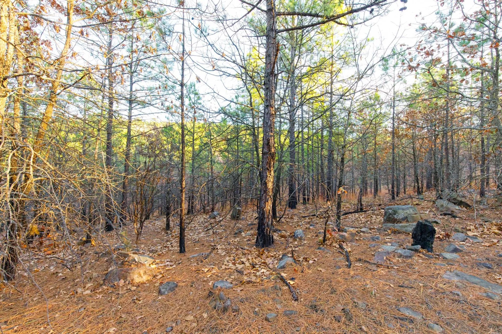 Stone Bridge Phase II Tract 119 in Latimer County, OK