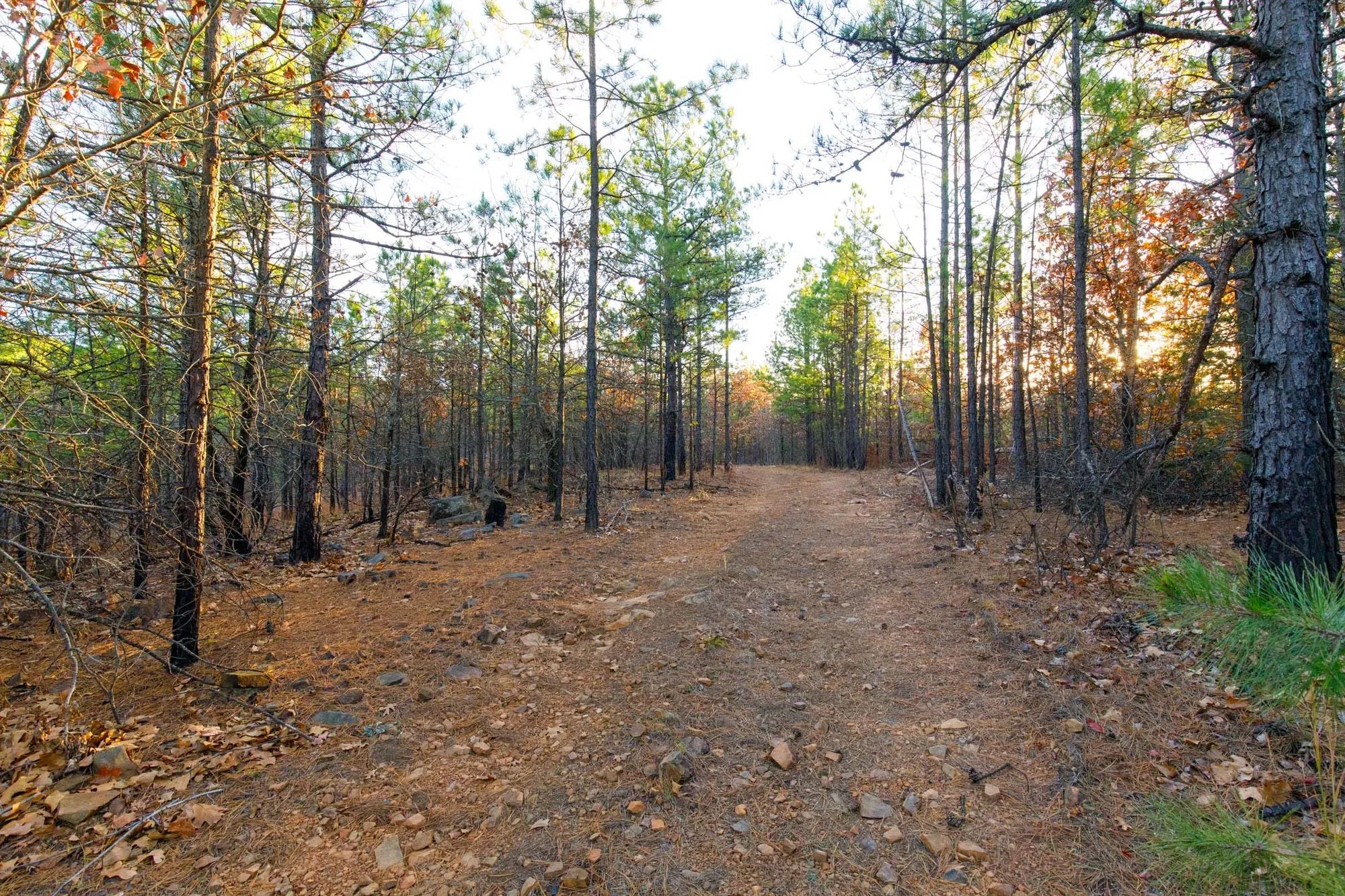 Stone Bridge Phase II Tract 119 in Latimer County, OK