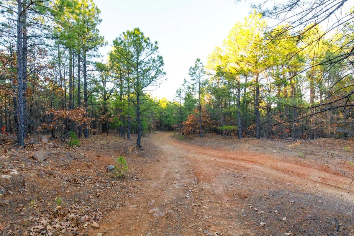 Decorative background for Stone Bridge Phase II Tract 119 image 7