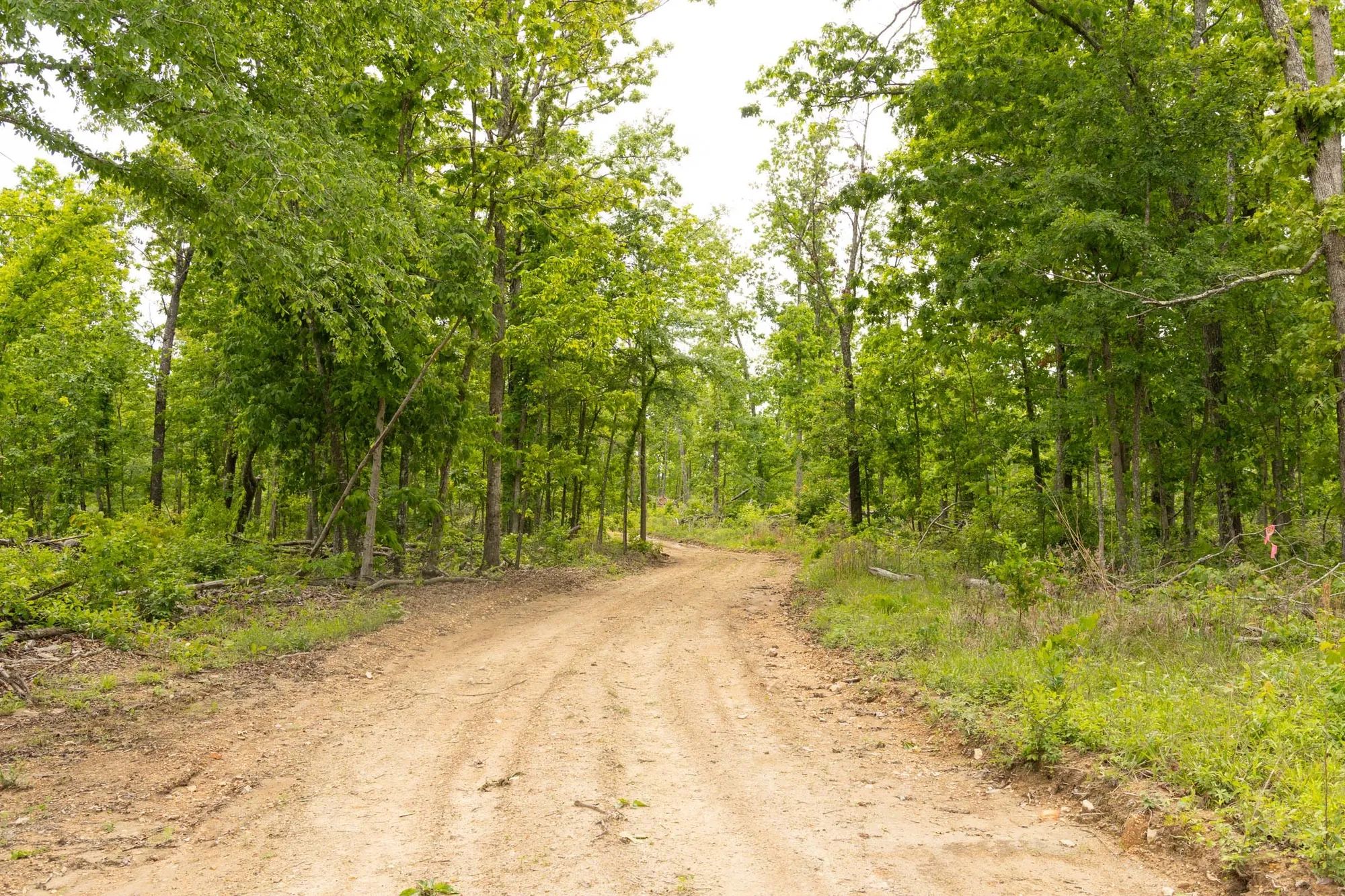 Stardust Estates Tract 10 in Reynolds County, MO