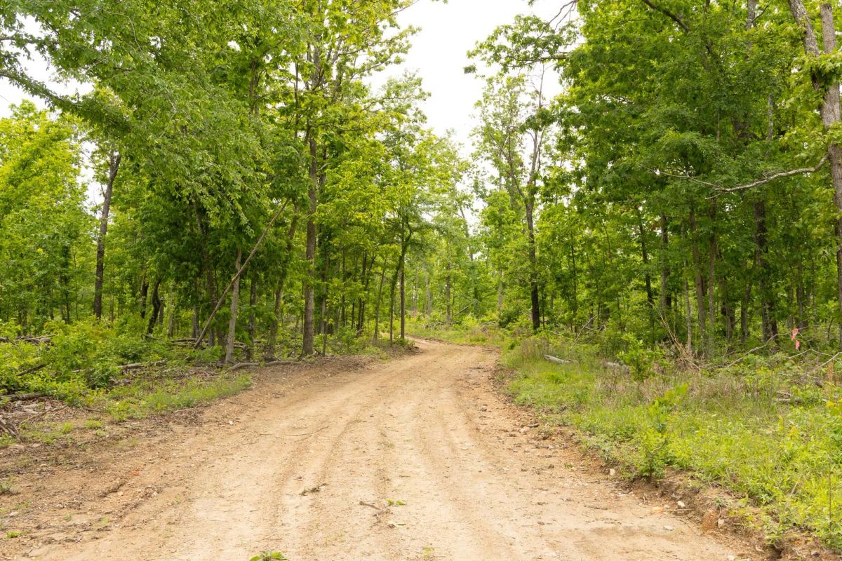 Stardust Estates Tract 10 - Image 2