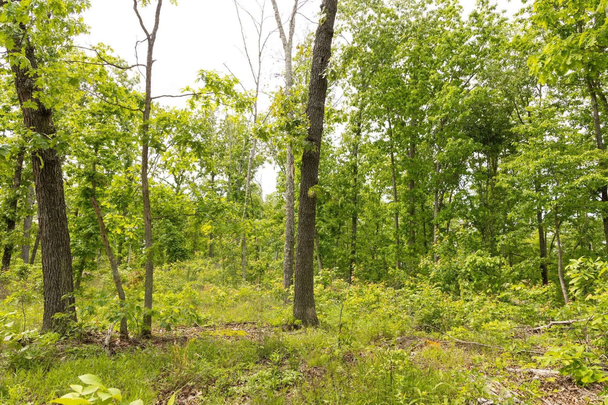 Stardust Estates Tract 10 in Reynolds County, MO