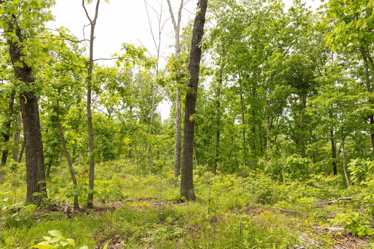 Stardust Estates Tract 10 - Image 3