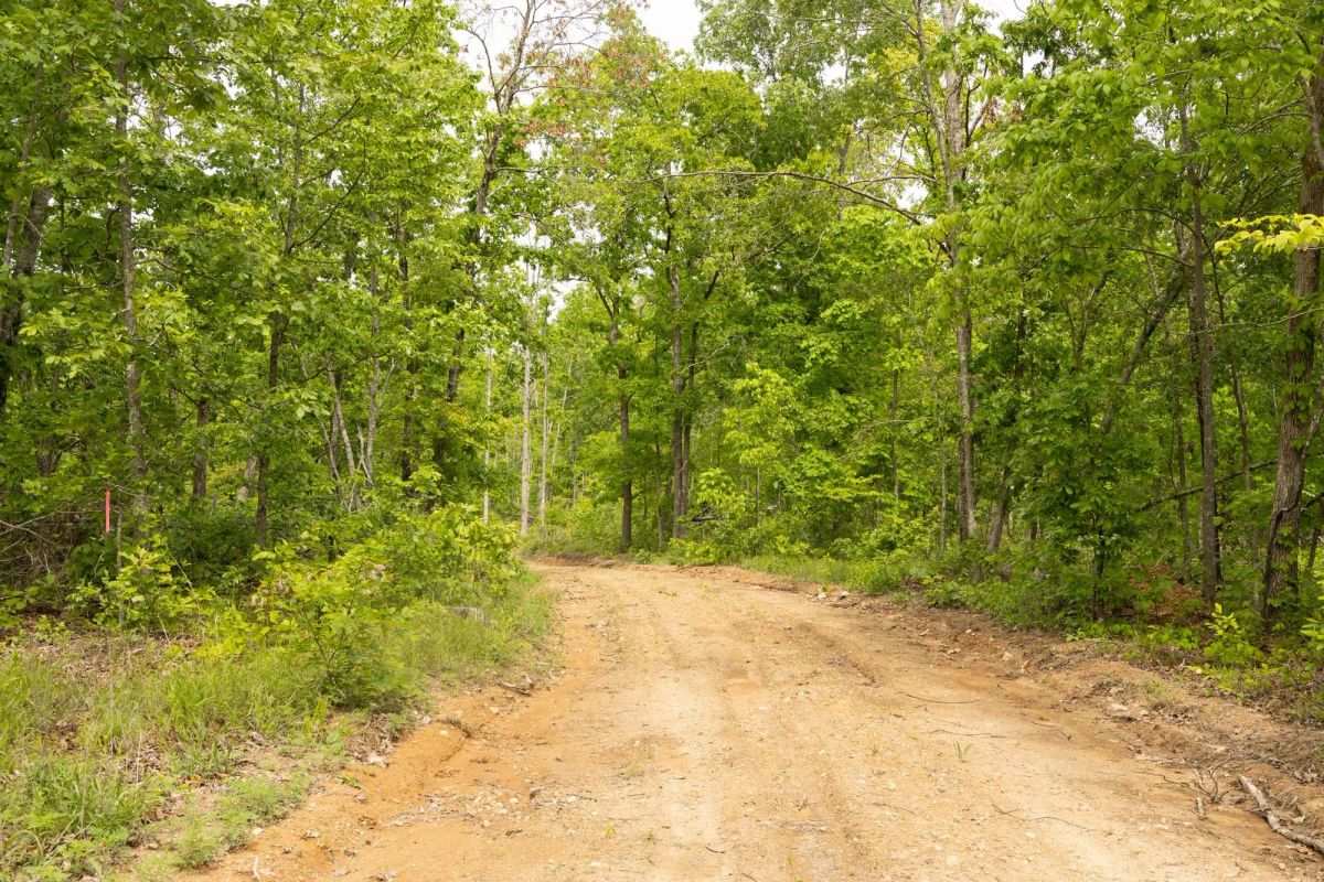 Decorative background for Stardust Estates Tract 10 image 6