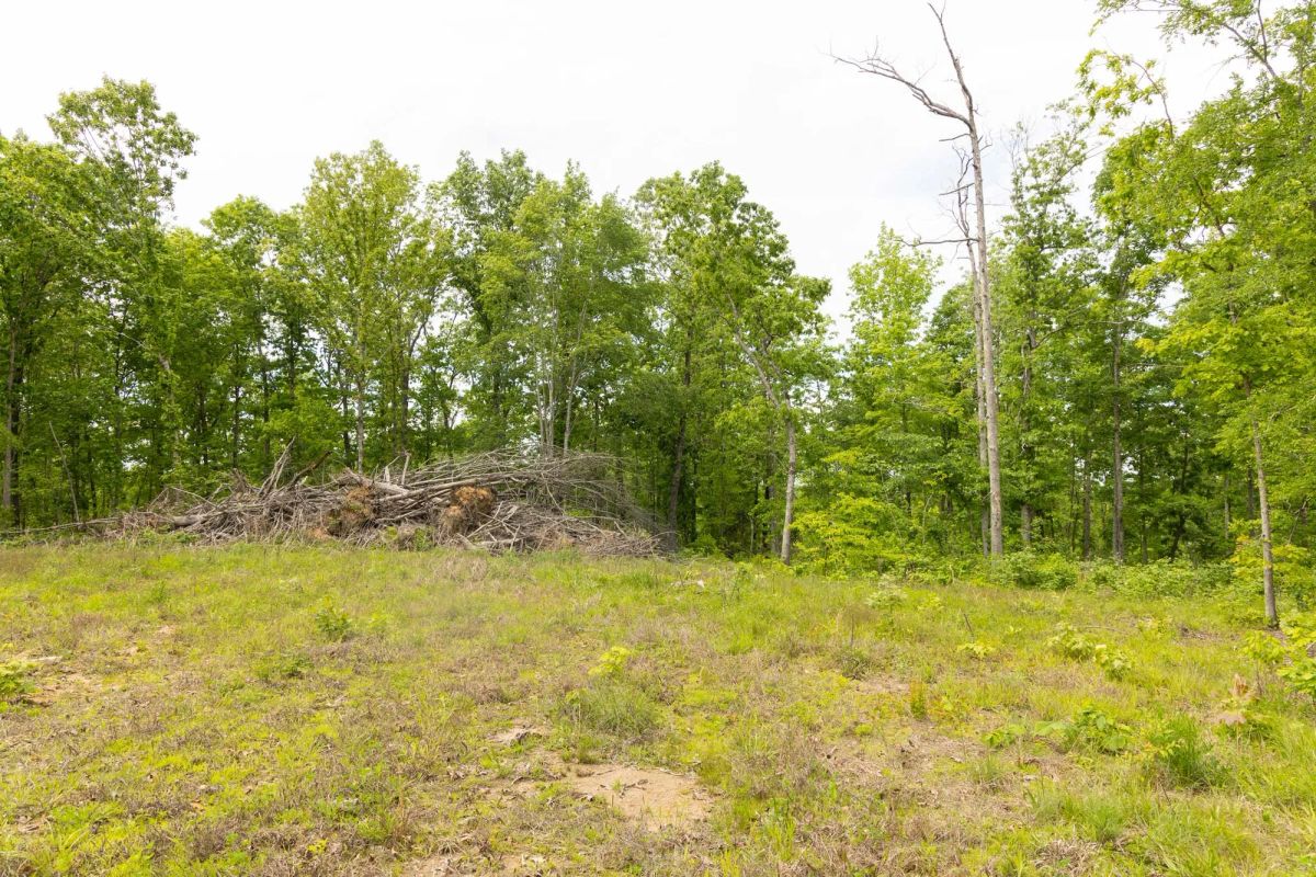 Decorative background for Stardust Estates Tract 10 image 9