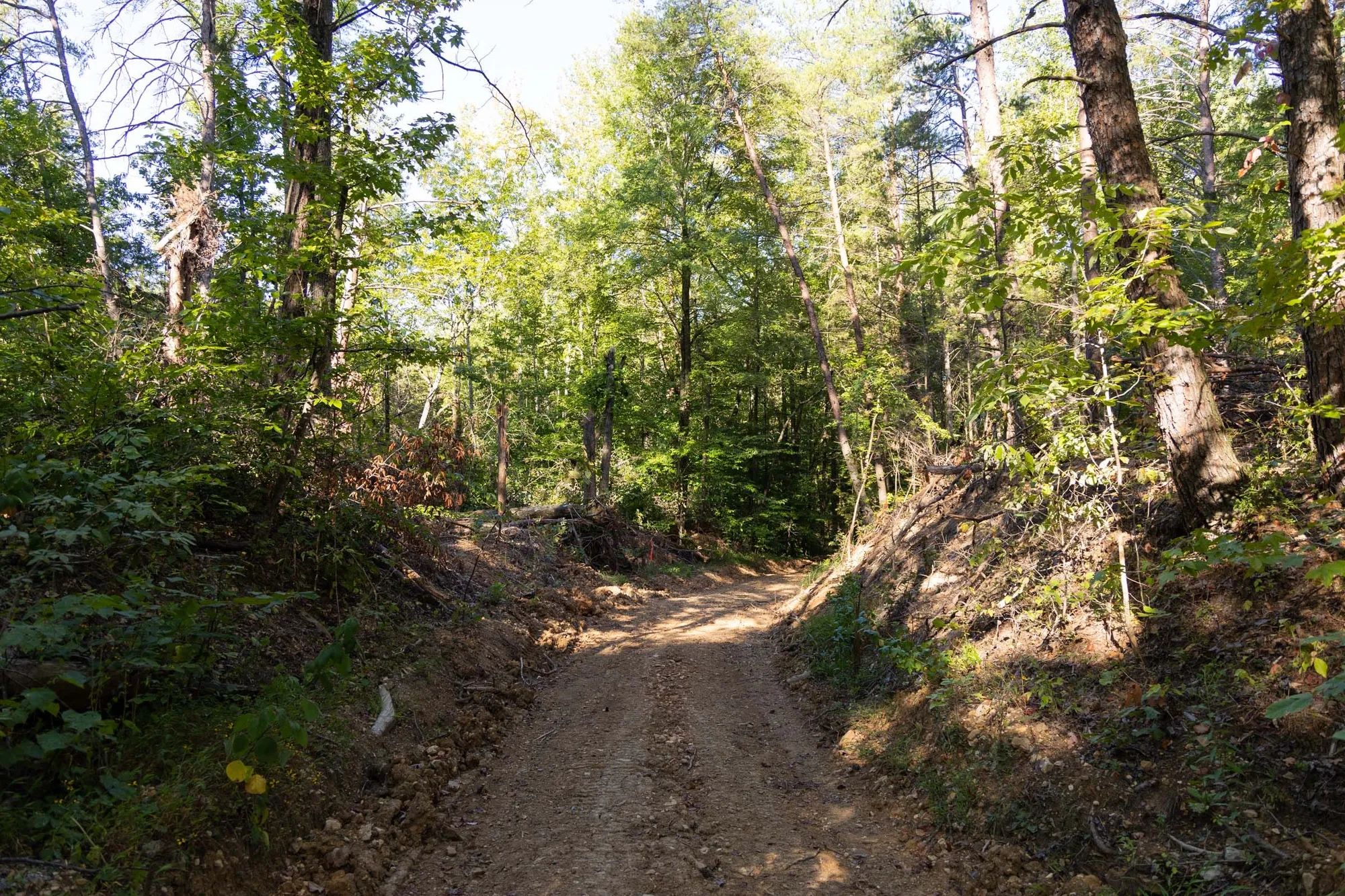 Big White Oak Tract 85 in Perry County, TN