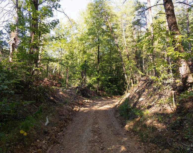Big White Oak Tract 85 in Perry County, TN