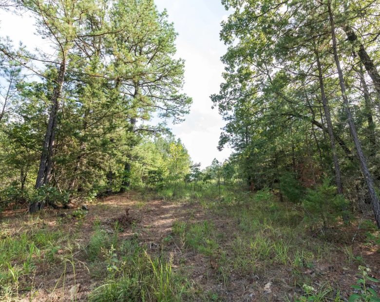 Stone Bridge Phase V Tract 402 in Latimer County, OK