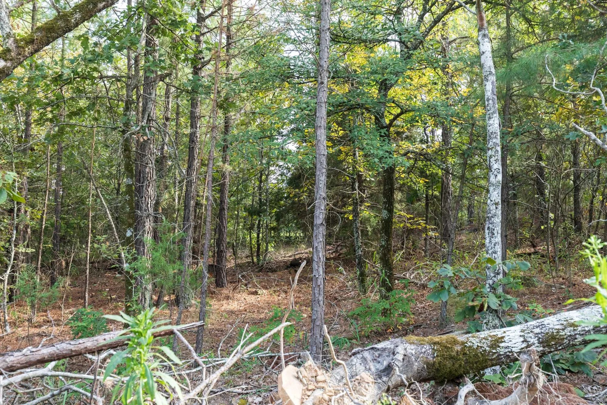 Stone Bridge Phase V Tract 402 in Latimer County, OK