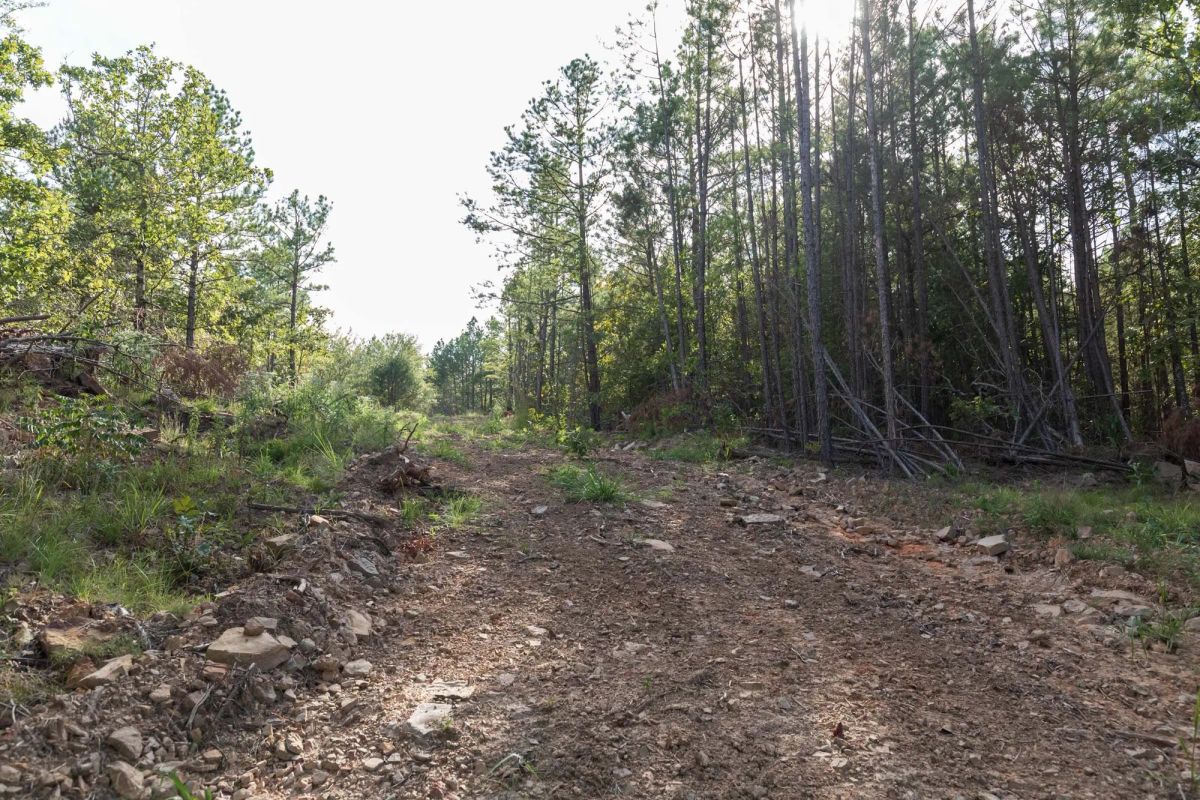 Decorative background for Stone Bridge Phase V Tract 402 image 5