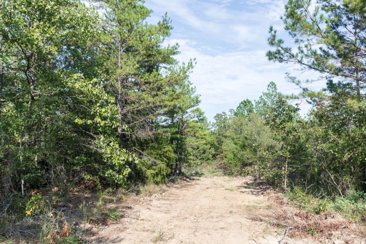 Decorative background for Stone Bridge Phase V Tract 402 image 6