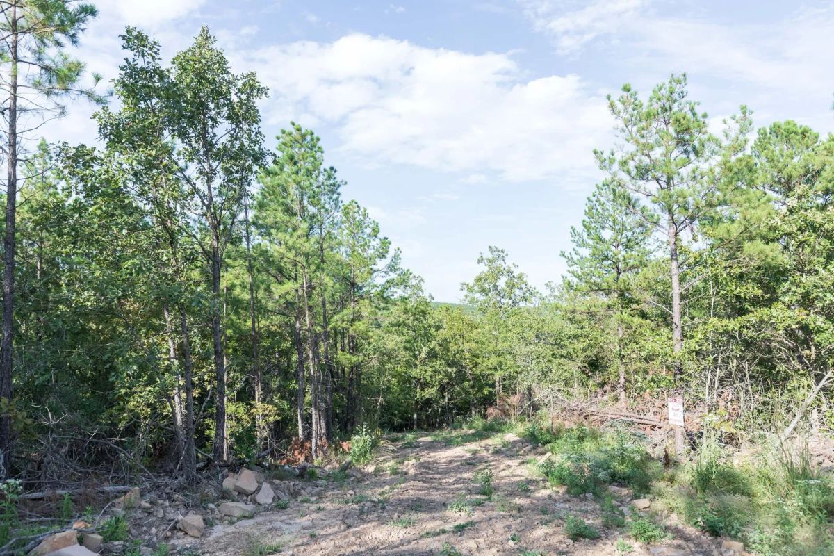 Decorative background for Stone Bridge Phase V Tract 402 image 7