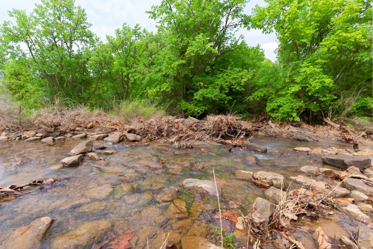 Decorative background for Stone Bridge Phase V Tract 402 image 9