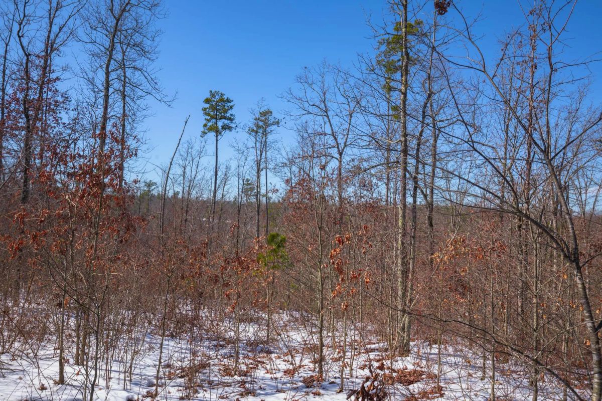 Sleepy Hollow Phase I Tract 39 - Main image