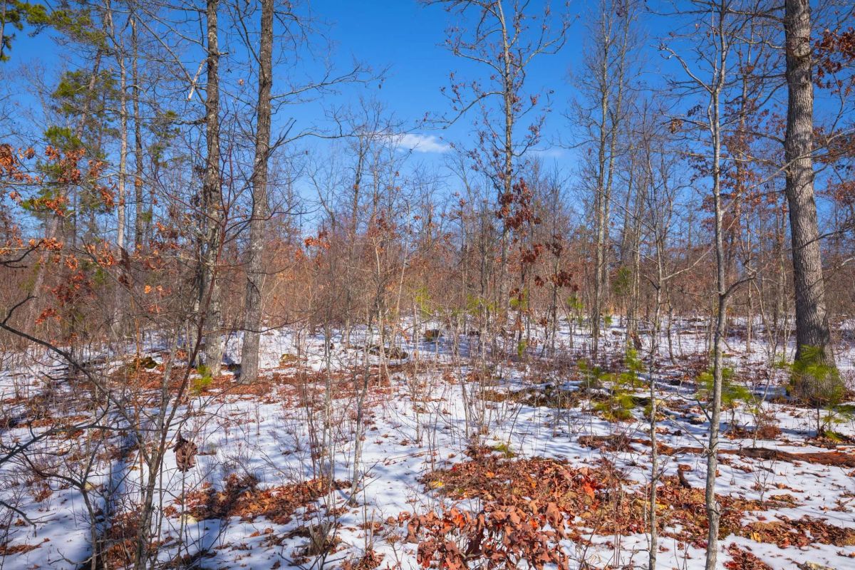 Sleepy Hollow Phase I Tract 39 - Image 4