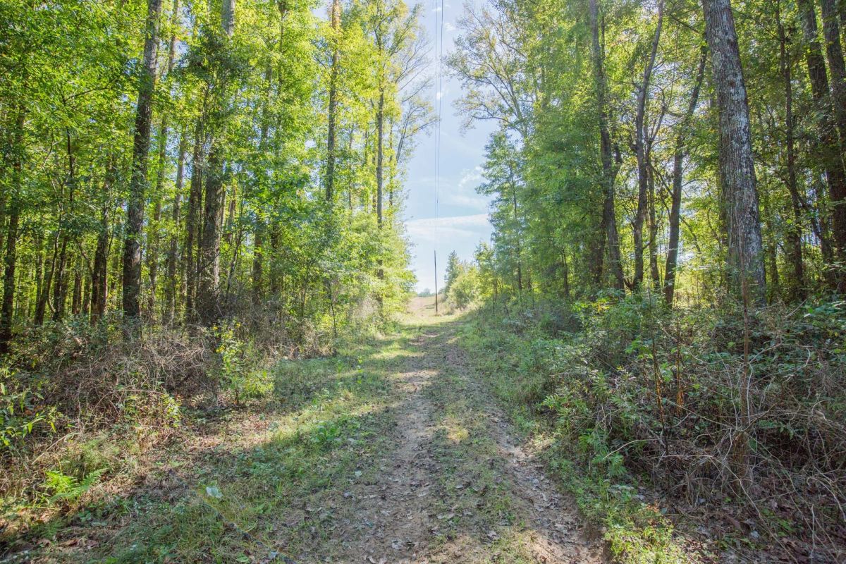 Brentwood Tract 11 - Main image
