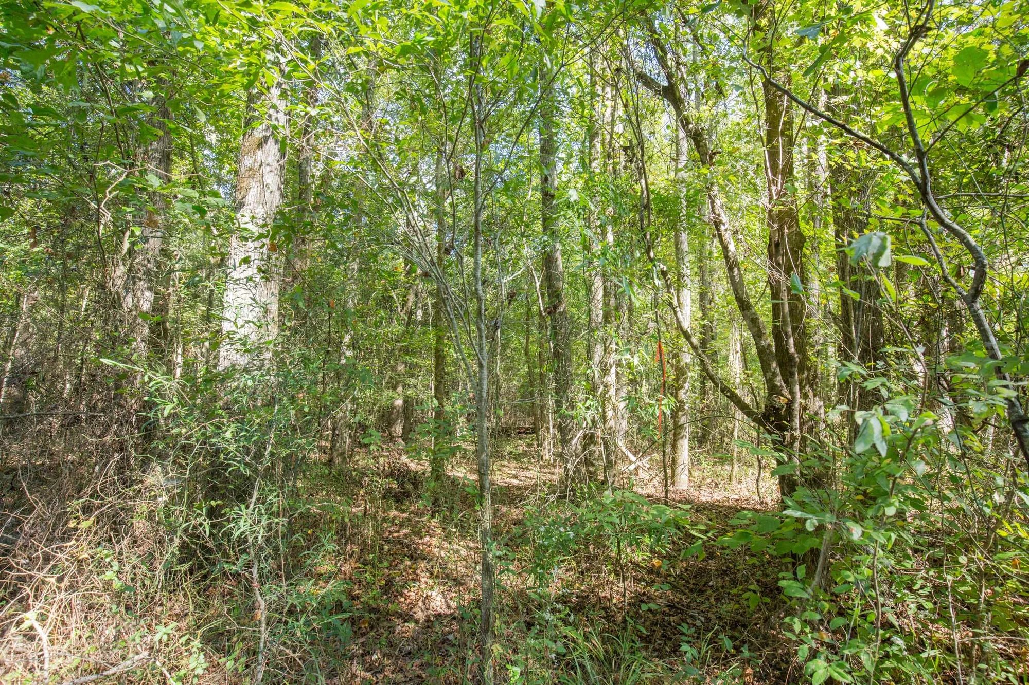 Brentwood Tract 11 in Attala County, MS
